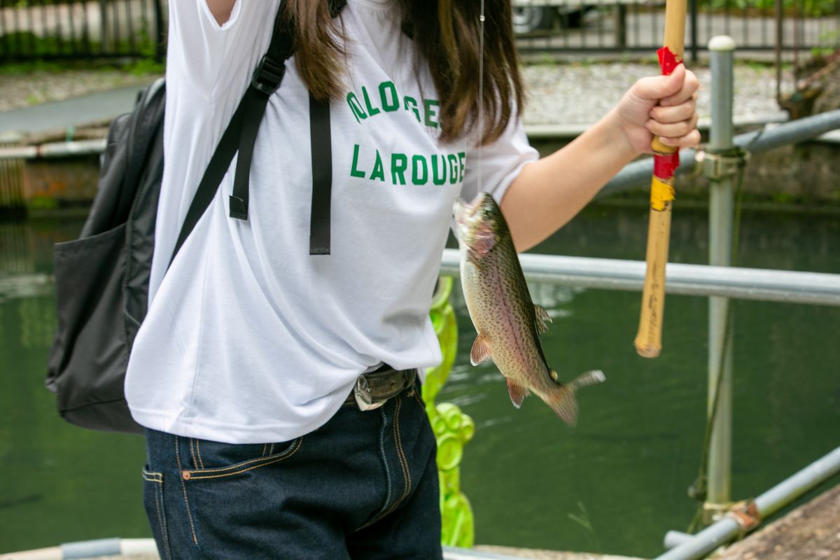 ニジマスの釣り体験